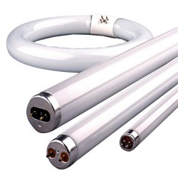 Świetlówka 10W T8 30 cm, 1...