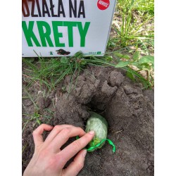 odstraszacz na krety